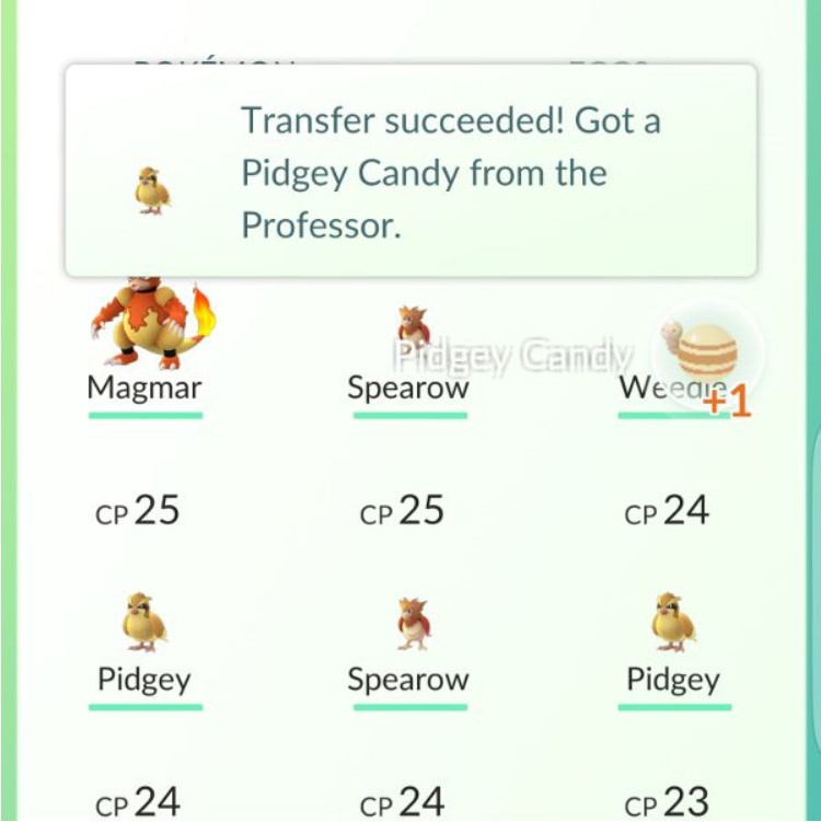 Hướng dẫn cách chơi pokemon go 15